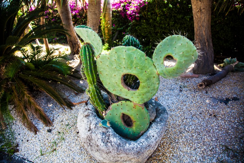 Ravino Gardens, Ischia