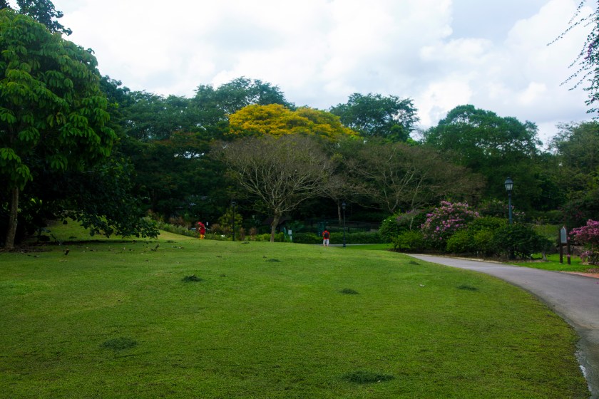 Botanic Gardens