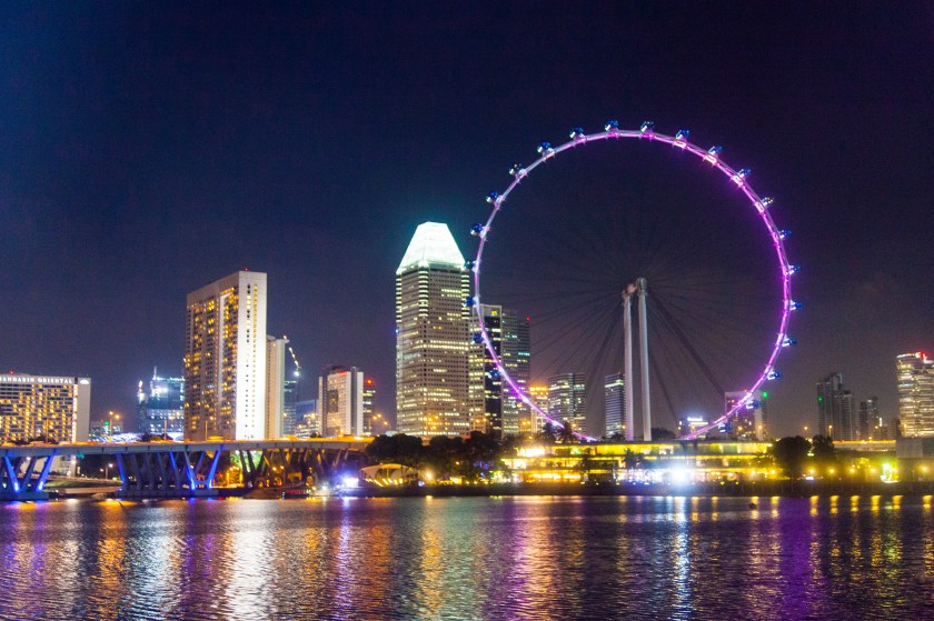 Singapore Flyer - view from Gardens on the Bay